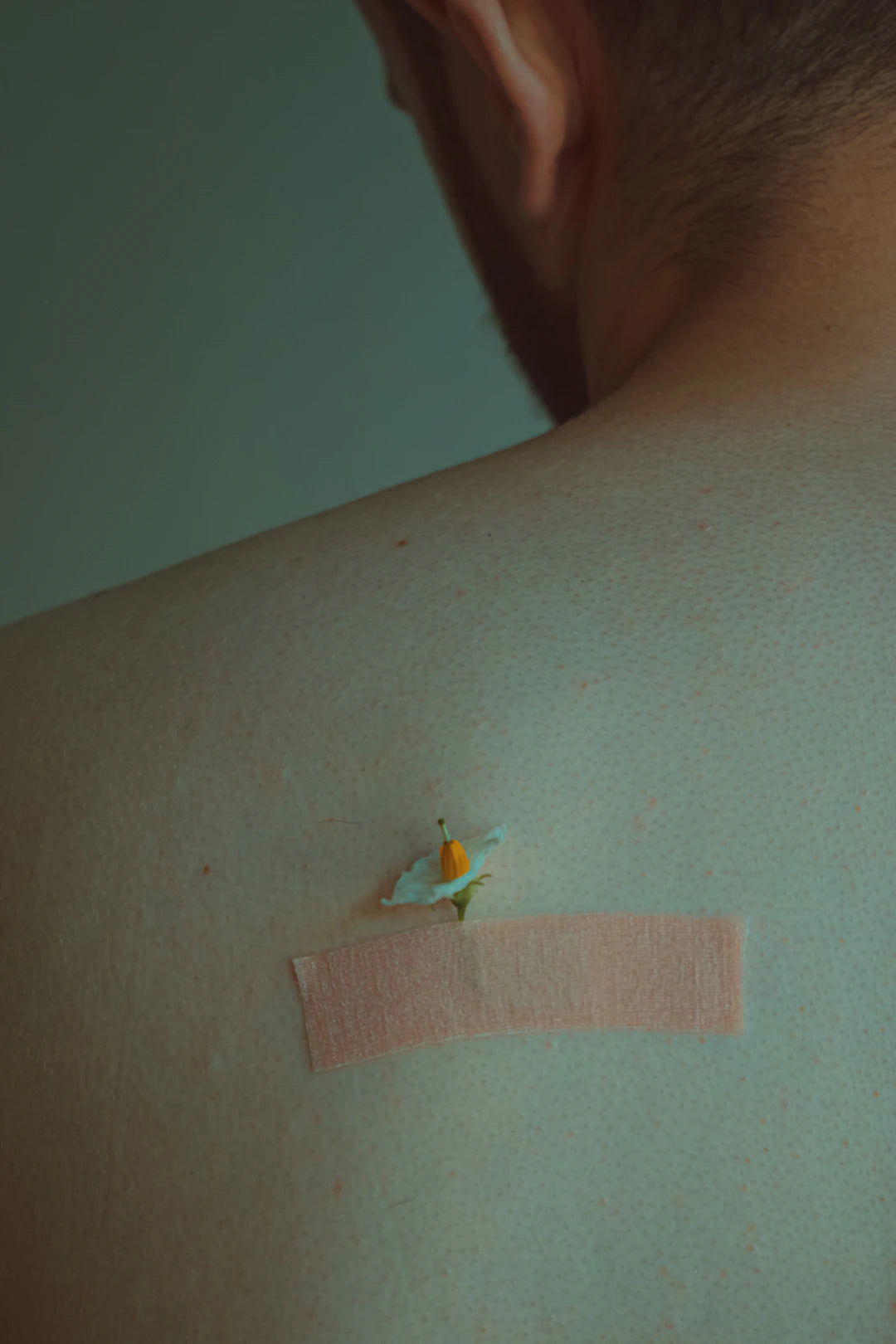 Ontdek Hoe Transdermale Supplementpleisters Werken