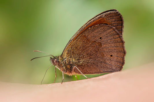 Transdermale Patch Technologie Een Fascinerende Evolutie